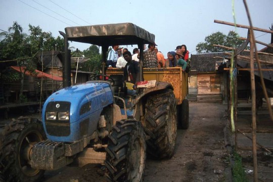 A tractor takes Sembuluh villagers in the early morning to work in the oil palm plantation fields / Greg Acciaioli Confronting oil palm plantations